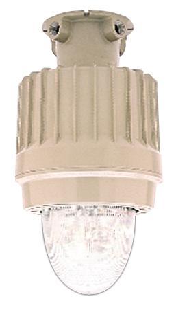 Hazardous Self-Contained, Ceiling, 20W Halogen